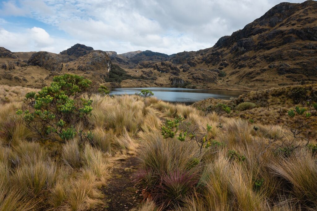 Mountainous landscape in Ecuador; lake and grassy plains evoke a transformative Ecuador journey.